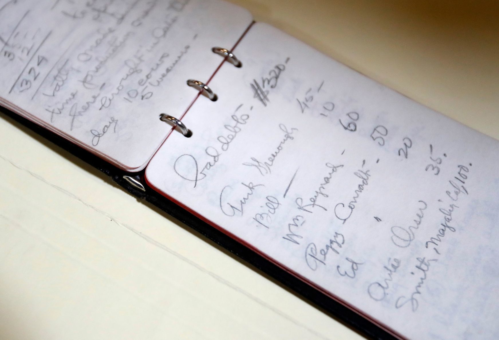 Will James notebook